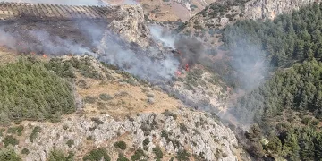 Hatay’daki orman yangını kontrol altına alındı