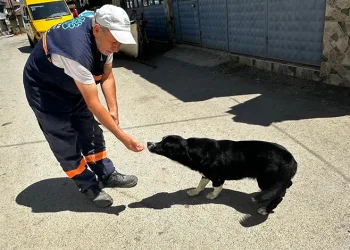 Bursa’da sokakta kalan köpeğe 2 yıldır gözü gibi bakıyor