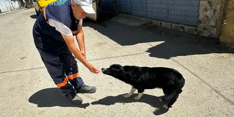 Bursa’da sokakta kalan köpeğe 2 yıldır gözü gibi bakıyor
