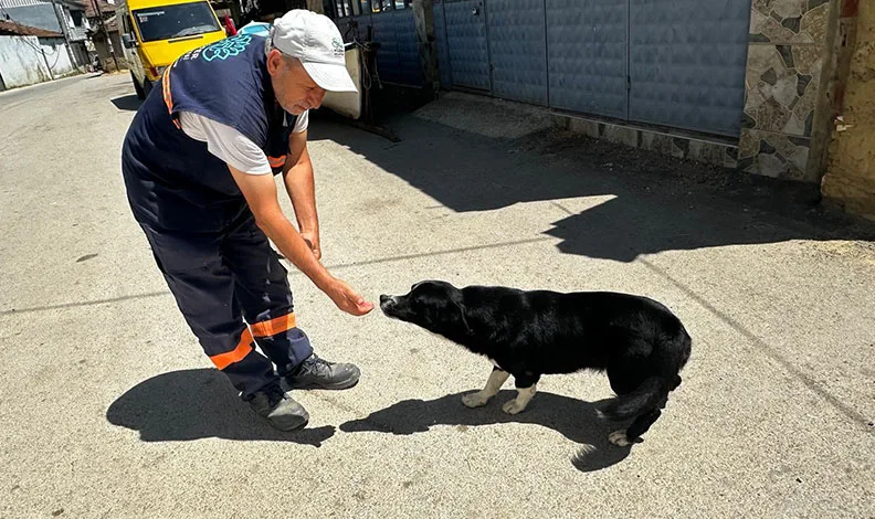 Bursa’da sokakta kalan köpeğe 2 yıldır gözü gibi bakıyor