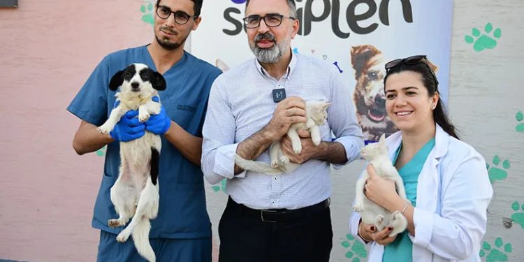 Kestel Belediyesi ile sahiplenme artık daha kolay