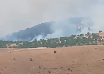 Pütürge’de orman ve örtü yangını