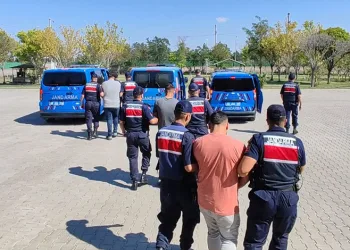 Köpekleri dövüştürüp paylaşan şahıslar yakalandı