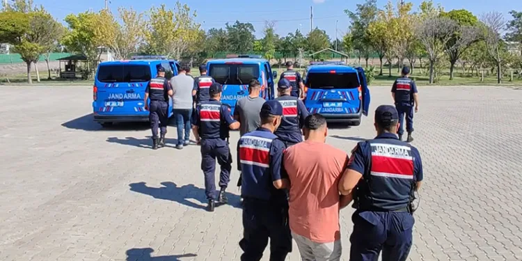 Köpekleri dövüştürüp paylaşan şahıslar yakalandı
