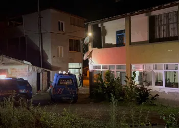 Ağacın dalını kestiği için amcasını öldürdü