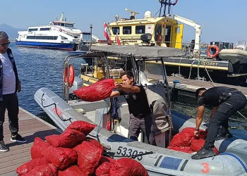 İzmir’de yasa dışı kara midye operasyonu: