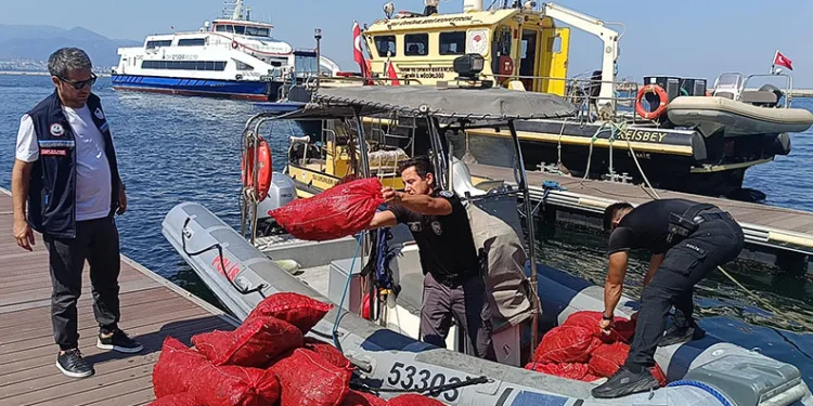 İzmir’de yasa dışı kara midye operasyonu: