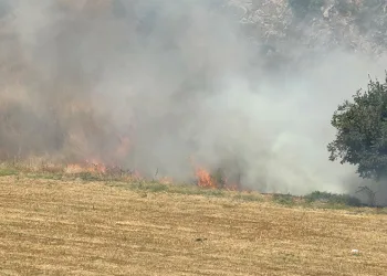 Tokat’ta otluk alandaki yangın büyümeden söndürüldü