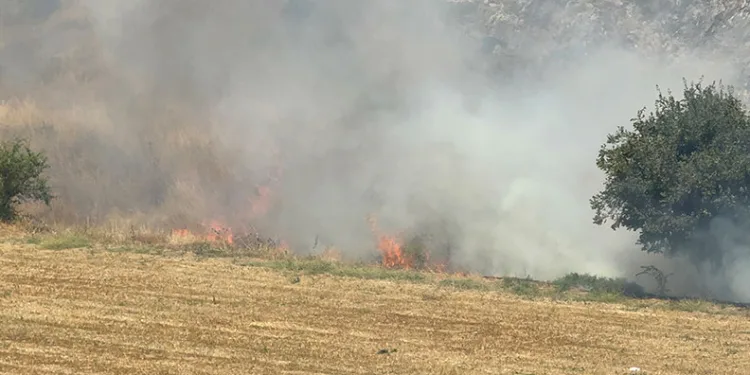 Tokat’ta otluk alandaki yangın büyümeden söndürüldü