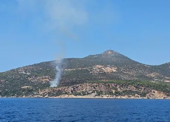 Kaş’ta makilik alanda çıkan yangın söndürüldü