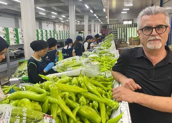 Avrupa sofralarının tercihi Bursa ürünleri