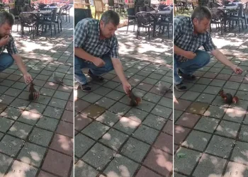 İnegöl’de sincap ve kumruyu elleriyle besledi