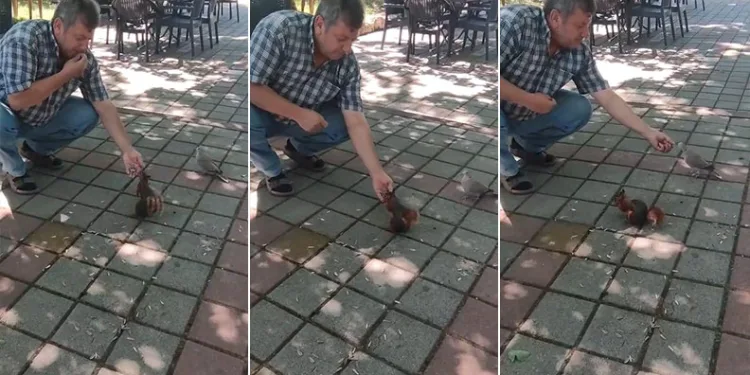 İnegöl’de sincap ve kumruyu elleriyle besledi