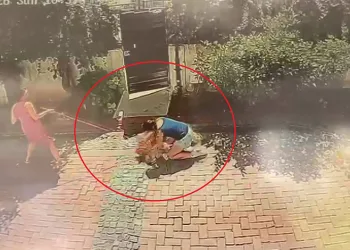 Samsun’da pitbull dehşeti