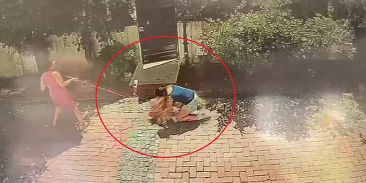 Samsun’da pitbull dehşeti