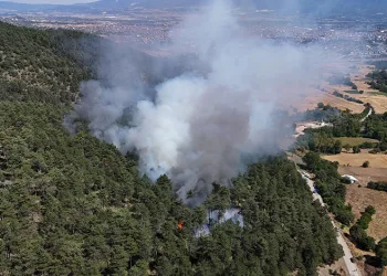 Bolu’da orman yangını başladı
