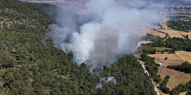 Bolu’da orman yangını başladı