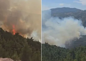 Balıkesir Sındırgı’da orman yangını