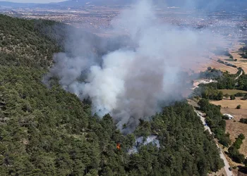 Bolu’daki orman yangını kontrol altına alındı