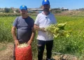 Şeker fasulye yüzleri güldürdü