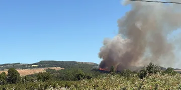Lapseki’de tarım arazisinde yangın