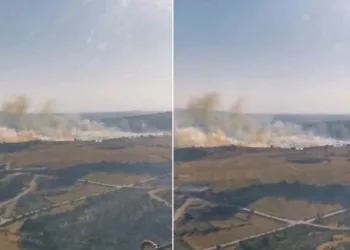Bilecik’te Taşçılar Köyü’nde orman yangını
