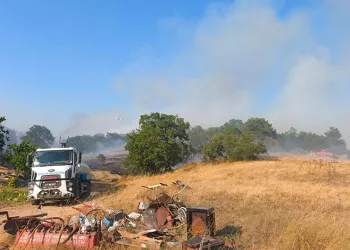 Bilecik’te anız yangını ormana sıçramadan kontrol altına alındı