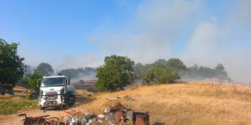 Bilecik’te anız yangını ormana sıçramadan kontrol altına alındı
