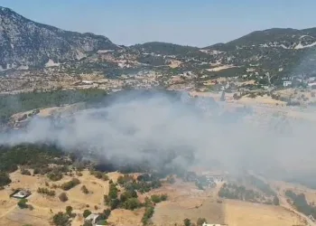 Kaş’ta ormanlık alanda yangın