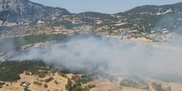 Kaş’ta ormanlık alanda yangın