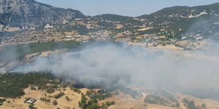 Kaş’ta ormanlık alanda yangın