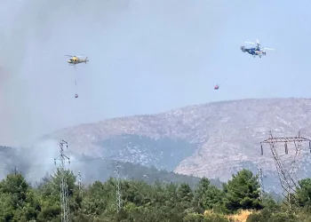 Bilecik’te ormanlık alanda yangın başladı