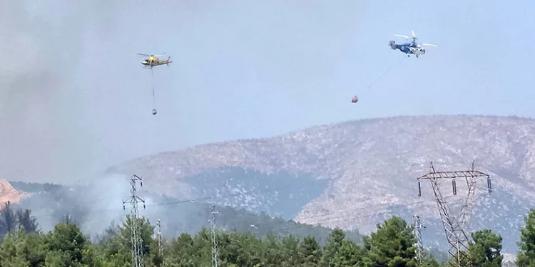 Bilecik’te ormanlık alanda yangın başladı