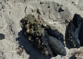 Çanakkale’de plajda savaştan kalma olduğu değerlendirilen askeri mühimmat bulundu