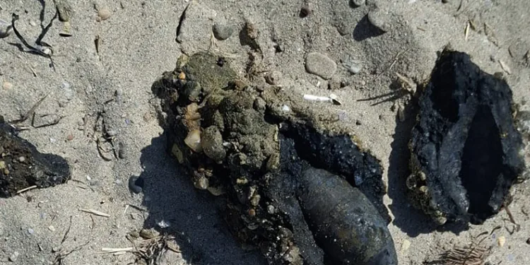 Çanakkale’de plajda savaştan kalma olduğu değerlendirilen askeri mühimmat bulundu