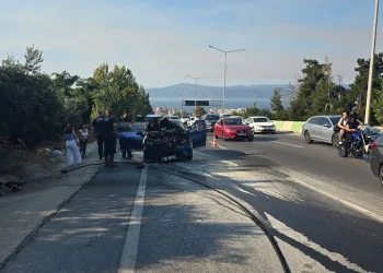 Alev alan otomobil zeytinlik alana sıçramadan söndürüldü