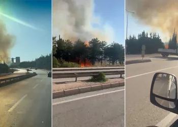 Bursa’da iki noktada aynı anda yangın!