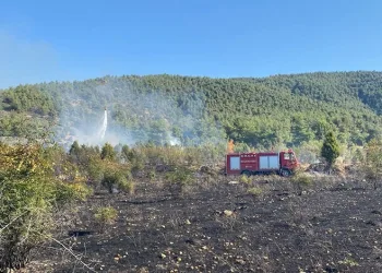 Bilecik’te çıkan tarla yangını ormana sıçramadan söndürüldü