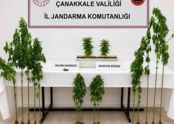 Çanakkale’de 3 ilçede uyuşturucu operasyonu