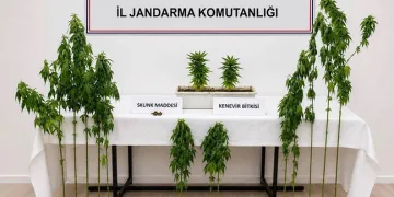Çanakkale’de 3 ilçede uyuşturucu operasyonu