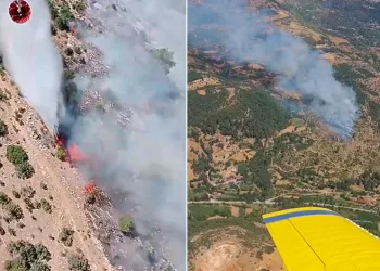 Kiraz’daki orman yangına havadan ve karadan müdahale