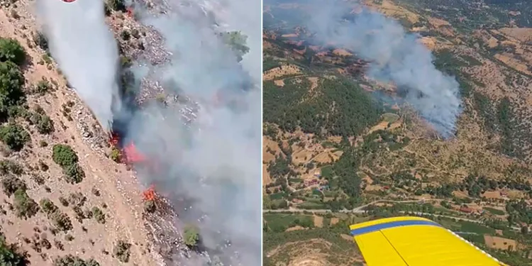 Kiraz’daki orman yangına havadan ve karadan müdahale