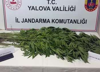Yalova’da uyuşturucu operasyonu: 3 gözaltı