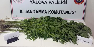 Yalova’da uyuşturucu operasyonu: 3 gözaltı