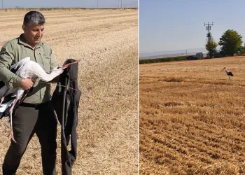 Elektrik akımına kapılan eşinin başından 5 gün ayrılmadı