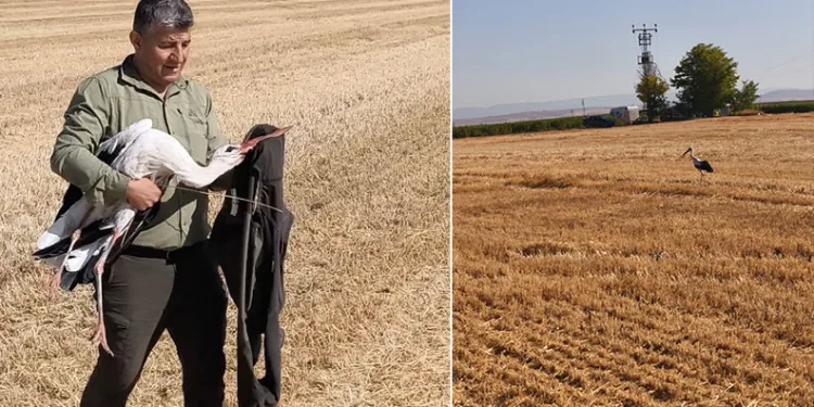 Elektrik akımına kapılan eşinin başından 5 gün ayrılmadı