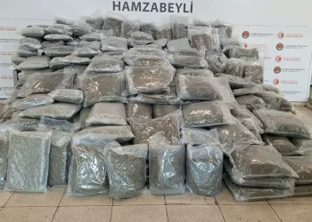 Edirne-Hamzabeyli Gümrük Kapısı’nda yaklaşık 288 kilogram esrar cinsi uyuşturucu madde ele geçirildi
