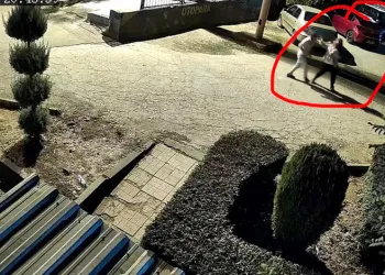 Kucağında çocuğuyla eşinin saldırısına uğrayan kadın hayatını kaybetti