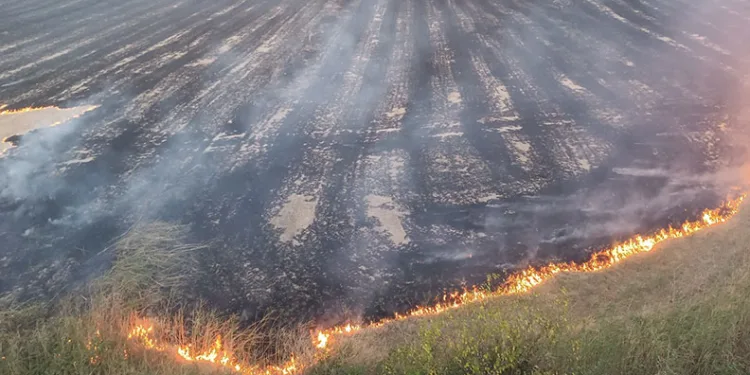 Kastamonu’da çıkan örtü yangınında 400 dönüm alan zarar gördü