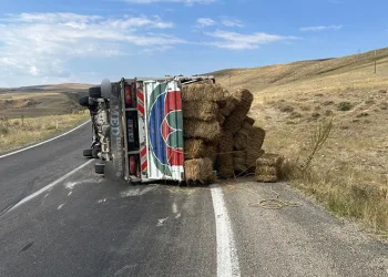 Erzurum’da ot yüklü kamyonet devrildi: 2 yaralı